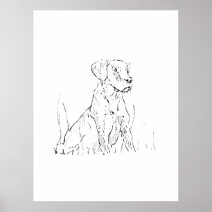Golden Retriever Väggkonst Affisch, Bläckillustrat