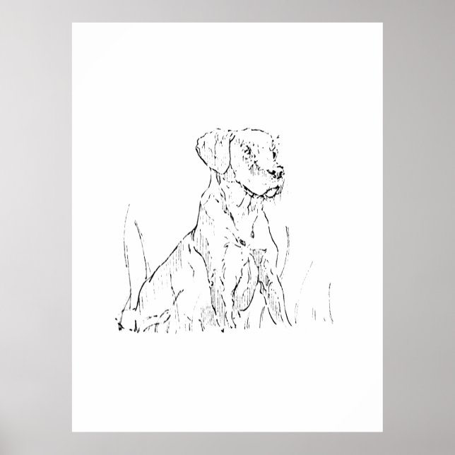 Golden Retriever Väggkonst Affisch, Bläckillustrat (Framsidan)