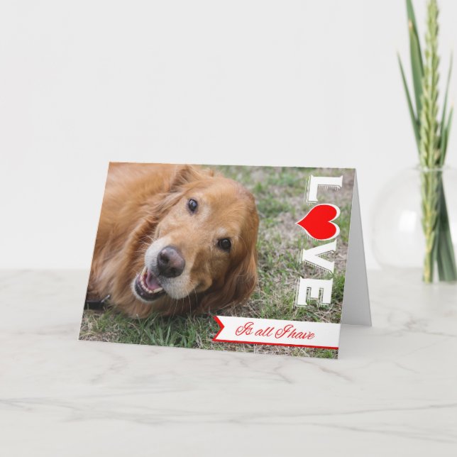 Golden Retriever Valentine Card Helgkort (Framsida)