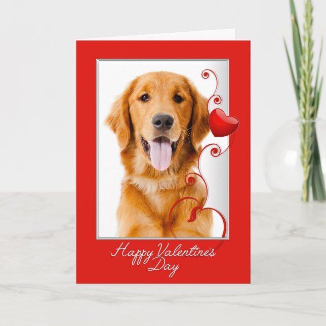 Golden Retriever Valentine Helgkort (Framsida)