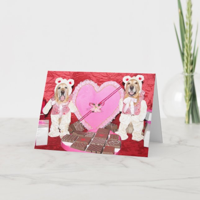Golden Retriever Valentine och Chocolate Bears Kort (Framsida)