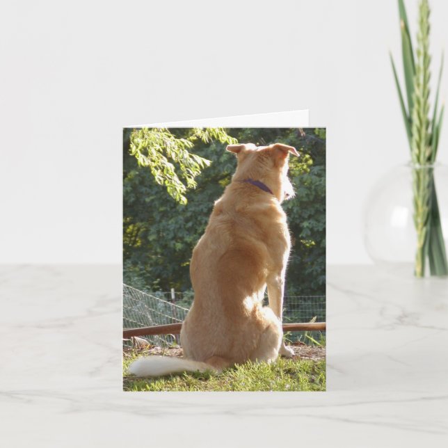 Golden Retriever Valentines day Card Helgkort (Framsida)
