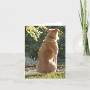 Golden Retriever Valentines day Card Helgkort