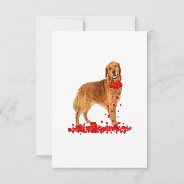 Golden Retriever Valentines Day Dog Dad Dog Mom OSA Kort (Framsida)