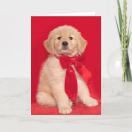 Golden Retriever Valp Glad Barkande Jul Kort