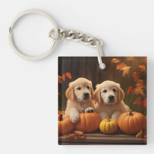 Golden Retriever Valp Höstglädje Pumpa