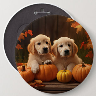 Golden Retriever Valp Höstglädje Pumpa Knapp