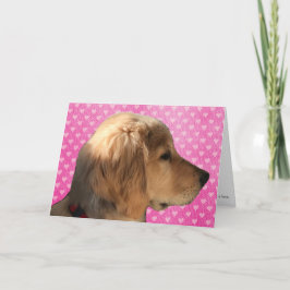 Golden Retriever Valp Hund Valentine’s Day Kort
