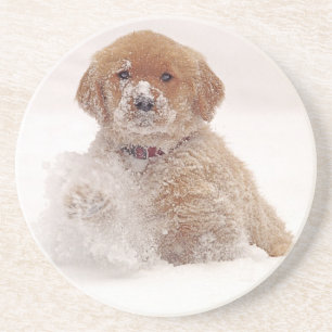 Golden Retriever-valp i snö Underlägg