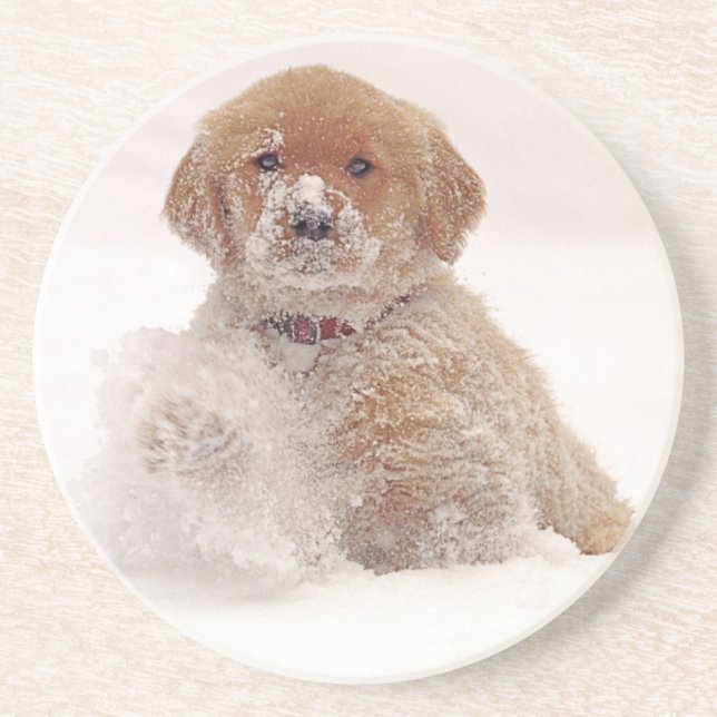 Golden Retriever-valp i snö Underlägg (Framsidan)