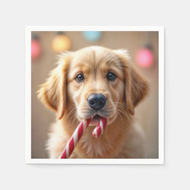 Golden Retriever Valp Med en Godisstav Pappersservett (Framsidan)