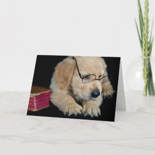 Golden Retriever-valp med glasögon Kort
