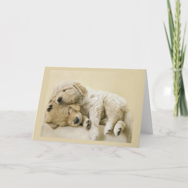Golden Retriever-valpar Kort (Framsida)
