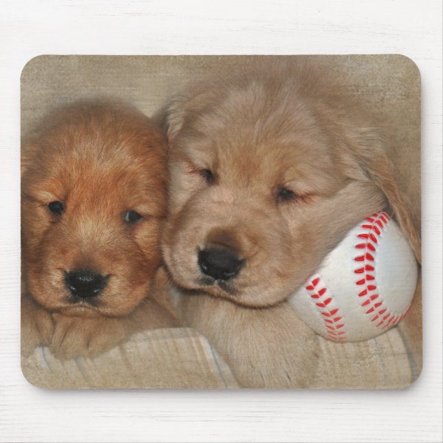 Golden Retriever-valpar med basket Musmatta (Framsidan)