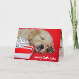 Golden Retriever-valpen Helgkort