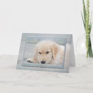 Golden Retriever-valpen i blå ram Kort