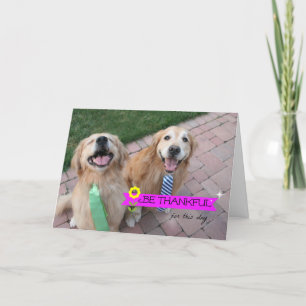Golden Retriever, var en trevlig Thanksgiving-dag Helgkort