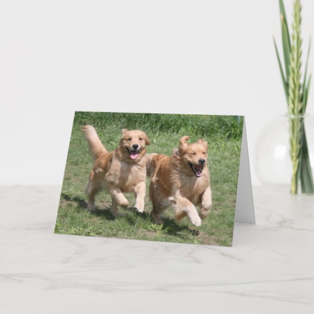 Golden Retriever Vart är festen? Kort (Framsida)