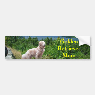 Golden Retriever Vid Sjön Bildstämpel Mamma Bildekal
