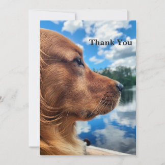 Golden Retriever vid sjön Tack-kort Tack Kort