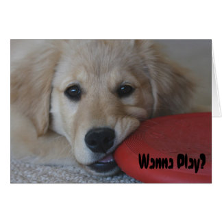 Golden Retriever vill spela.. Hälsningskort