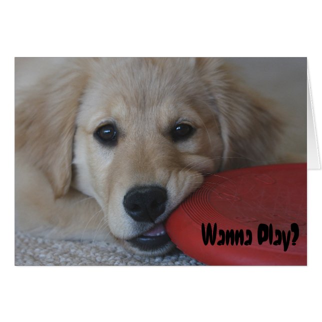 Golden Retriever vill spela.. Hälsningskort (Framsidan Horizontal)