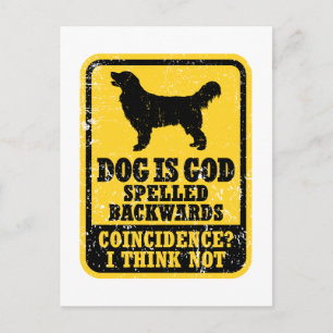 Golden Retriever Vykort