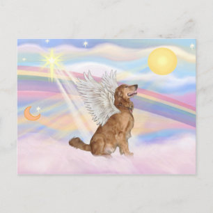 Golden Retriever Vykort