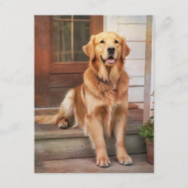 Golden Retriever Vykort