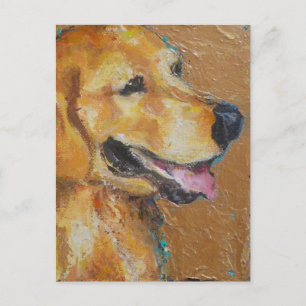 Golden Retriever Vykort