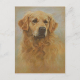 Golden Retriever Vykort