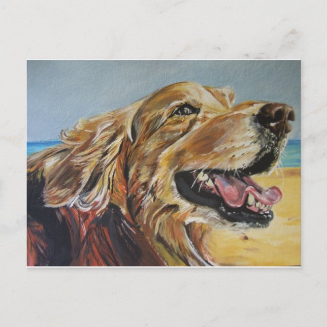 Golden Retriever Vykort (Framsida)