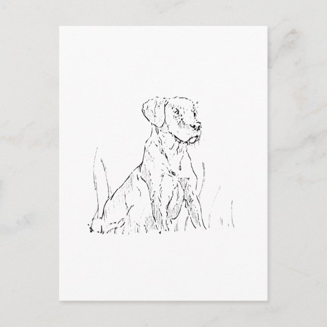 Golden Retriever vykort - Ink Dog Illustration (Framsida)