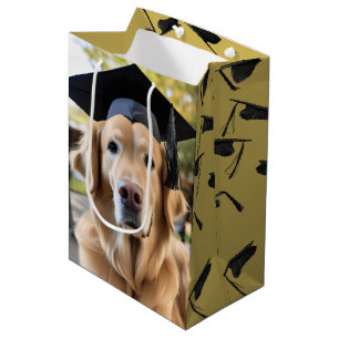 Golden Retriever Wearing Studentmössa