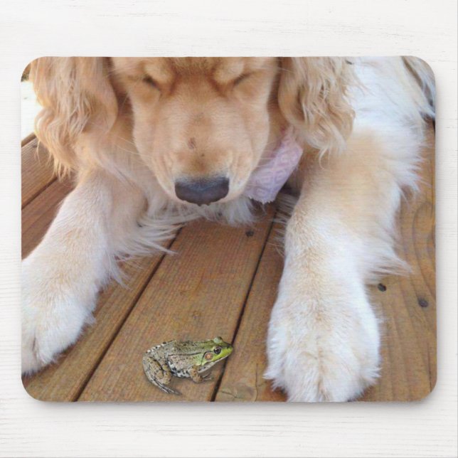 Golden Retriever with Frog Musmatta (Framsidan)