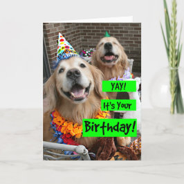 Golden Retriever Yay Din födelsedag Kort