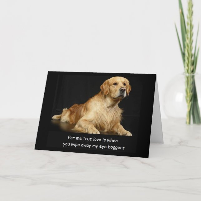 Golden Retriever - ynka födelsedagskort Kort (Framsida)