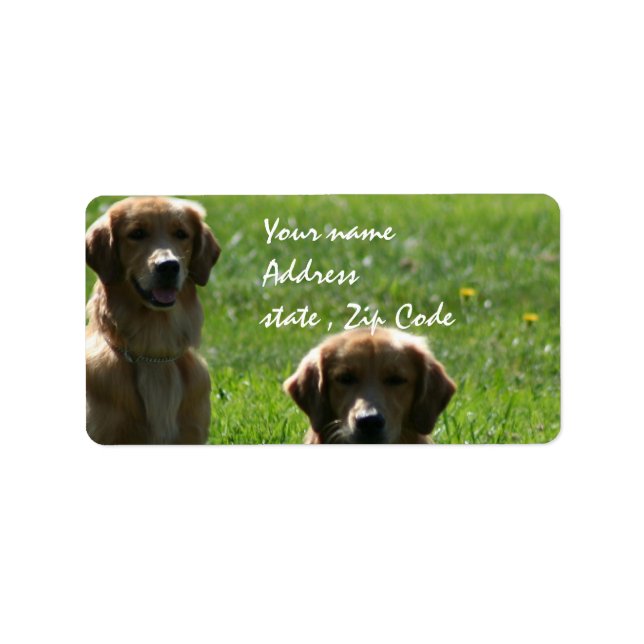 Golden Retrievers Adressetikett (Framsidan)