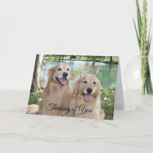 Golden Retrievers i Park Thinking of You Kort