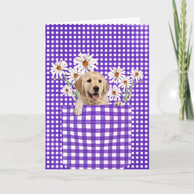 Golden Retrievers in Gingham Pocket Card Kort (Framsida)