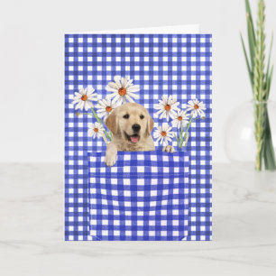 Golden Retrievers in Gingham Pocket Kort