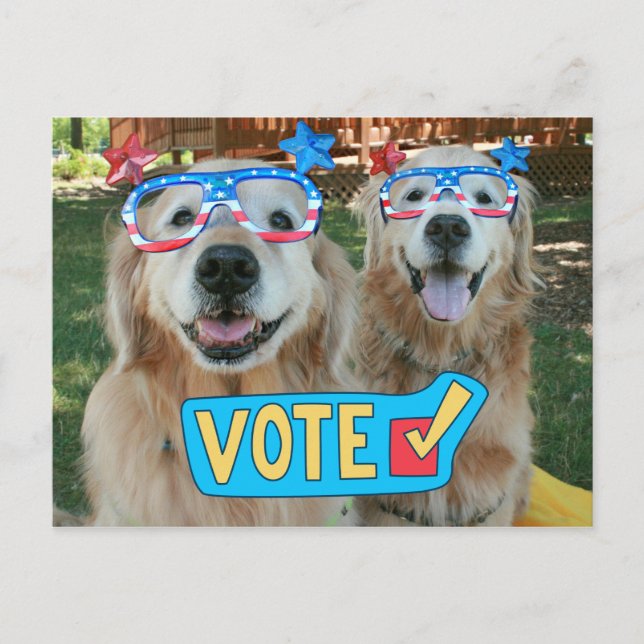 Golden Retrievers in Independence day Glasses Vote Vykort (Framsida)