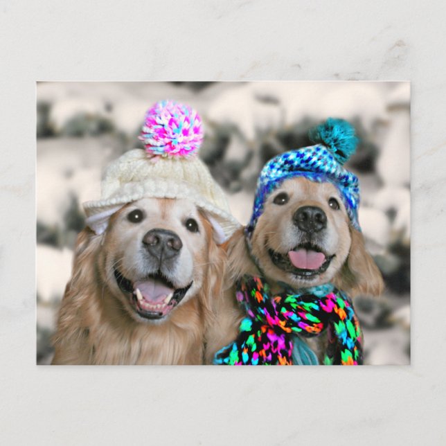 Golden Retrievers in Winter Hats Helgdag jul Helg Vykort (Framsida)