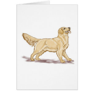 Golden Retrievers OBS Kort