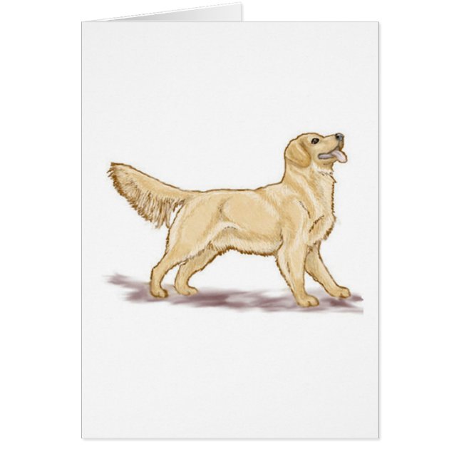 Golden Retrievers OBS Kort (Framsidan)