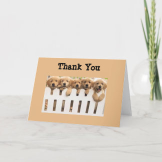 Golden Retrievers Tack Buddies Card