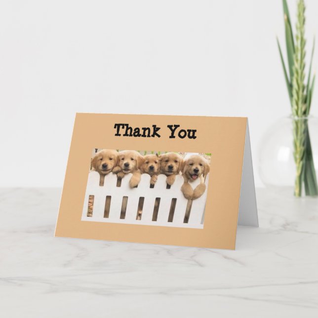 Golden Retrievers Tack Buddies Card Kort (Framsida)