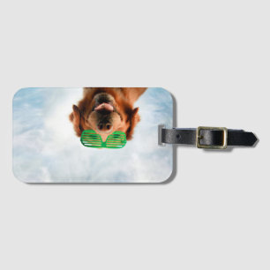 Golden Retrifer med solglasögon av Grönt Bagagebricka
