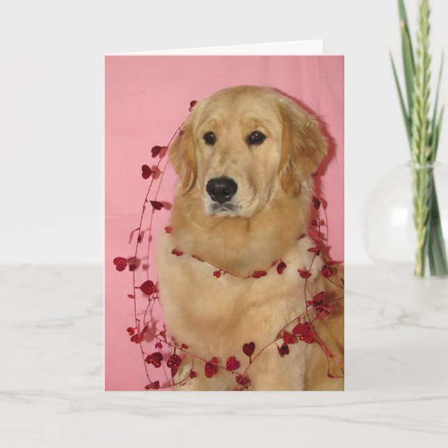 Golden RetRiver Valentines dagskort Kort (Framsida)