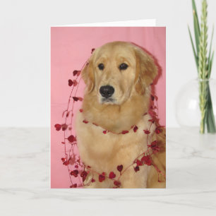 Golden RetRiver Valentines dagskort Kort